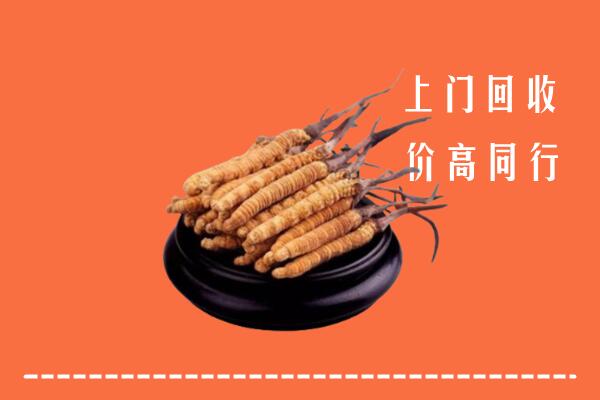 高价求购：汕头潮南区回收散虫草