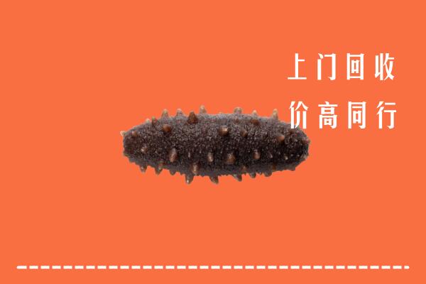 高价求购：汕头潮南区回收海参
