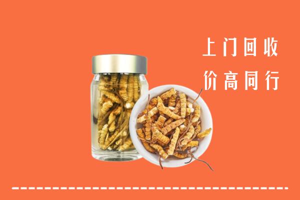 汕头潮南区回收冬虫夏草