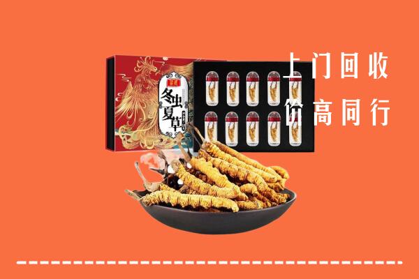 汕头潮南区回收虫草